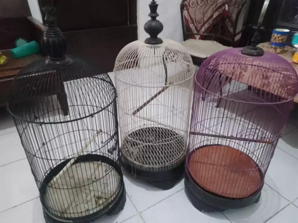 Jual borongan 3 kandang lovebert