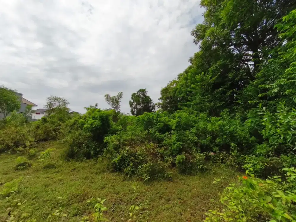 Tanah Murah di Jl. Gunung Payung Kutuh Dekat Pantai