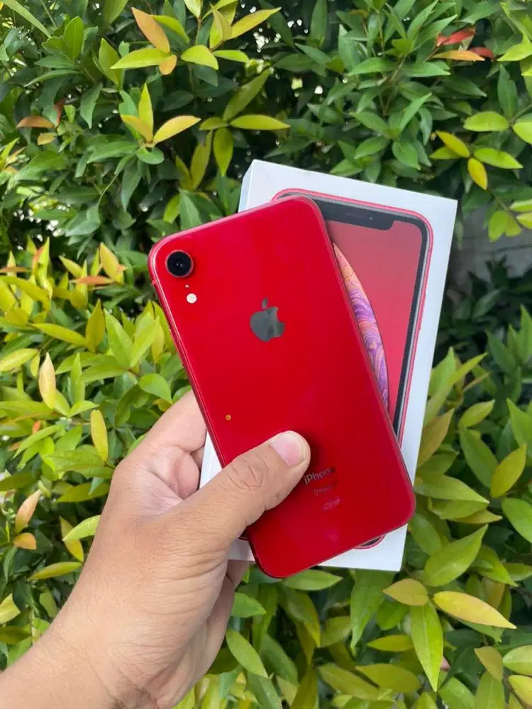 iPhone xr 64 gb ibox