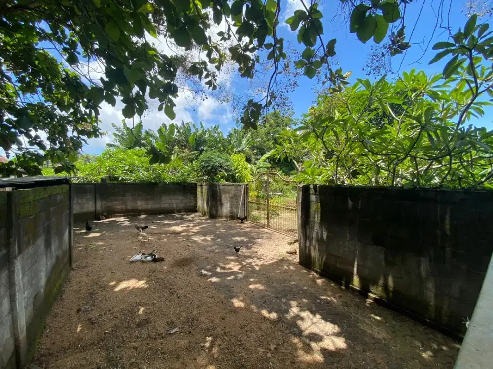 Tanah Lokasi Di Kampial Nusa Dua Dekat Tol dan Poltekpar Nusa Dua