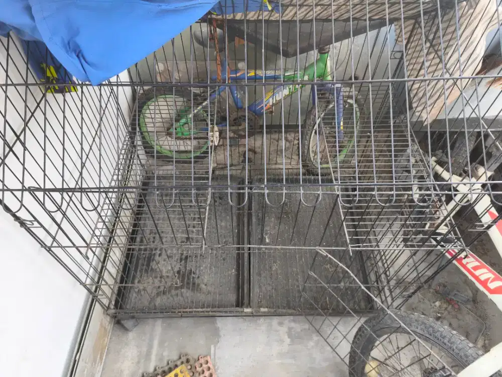 di jual kandang kucing