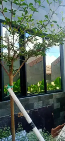 Kaca Film Oneway Mirror (tolak panas)