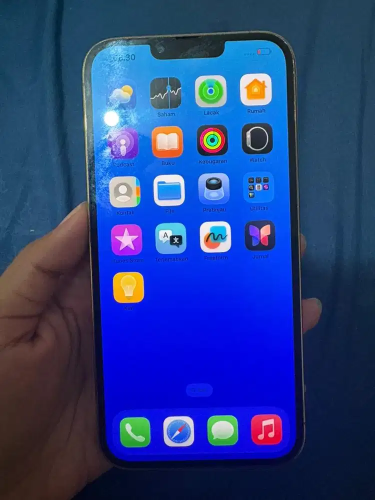 Iphone 13 promax 256 gb inter beacukai