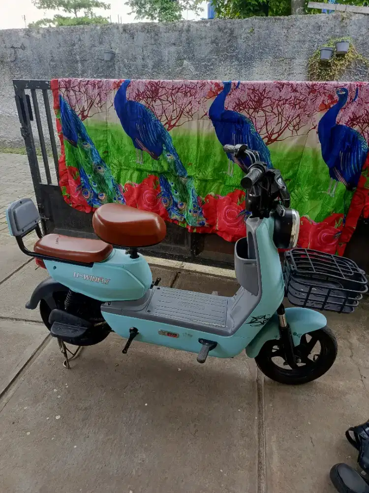 Sepeda Listrik Uwinfly D7s