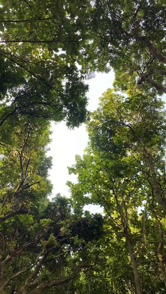 LOWONGAN KERJA BACKUP CLEANING SERVICE