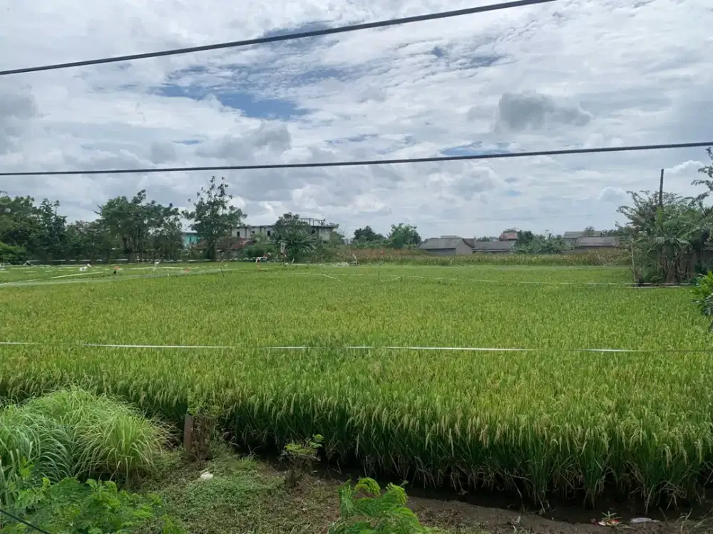 Dijual Tanah Kavling Jl Raya Ps Babelan Bekasi