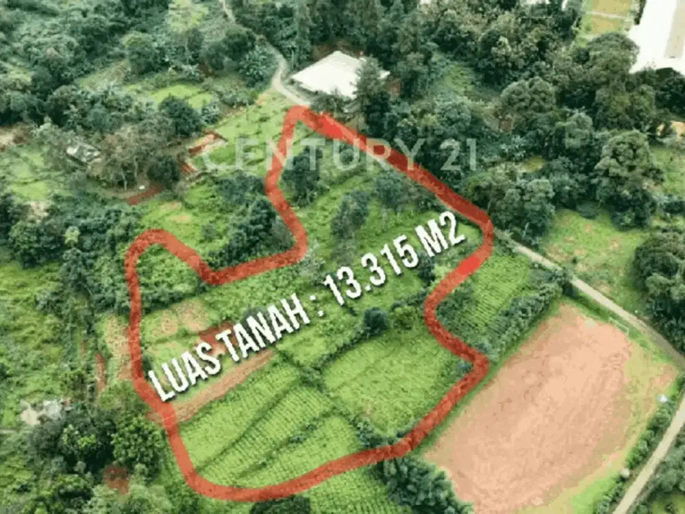 Tanah Strategis  Cocok Untuk Villa Resort  Di Gunung Guelis Bogor