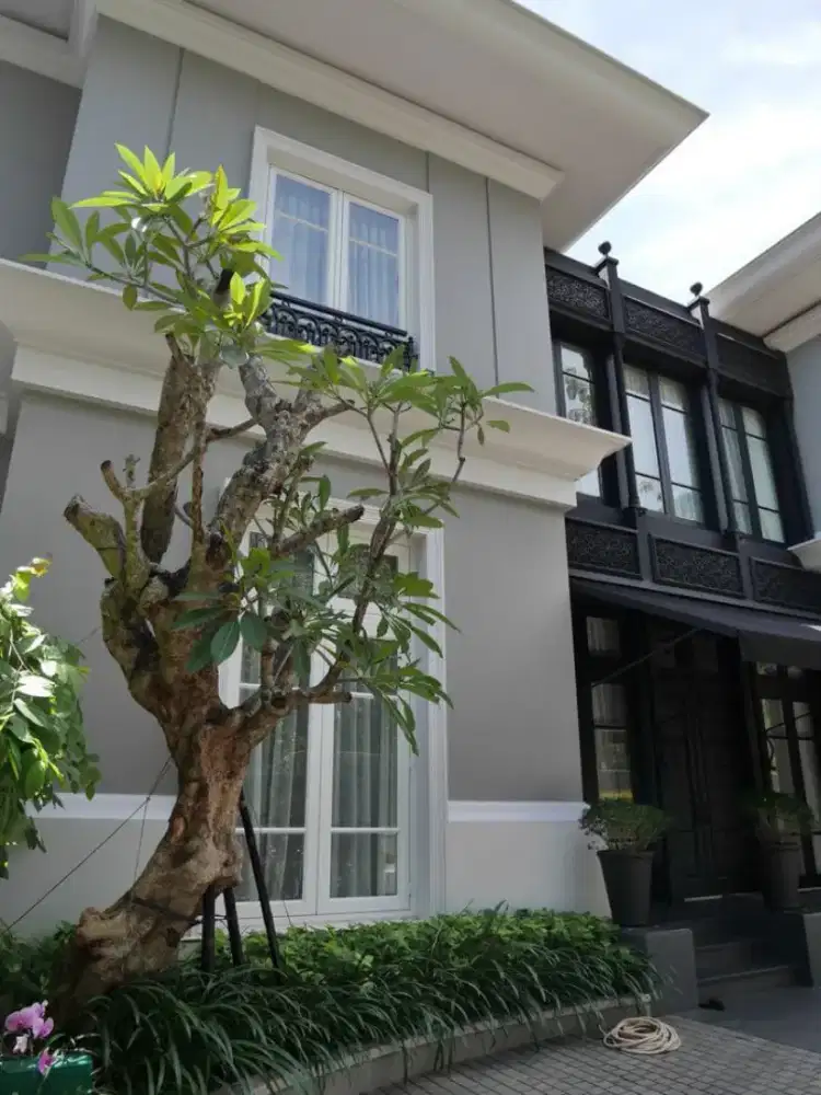 Pohon Kamboja fosil dll