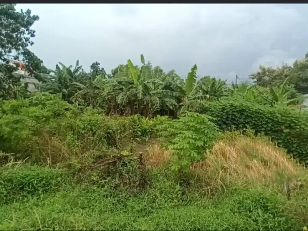 Dijual Lahan Menganti