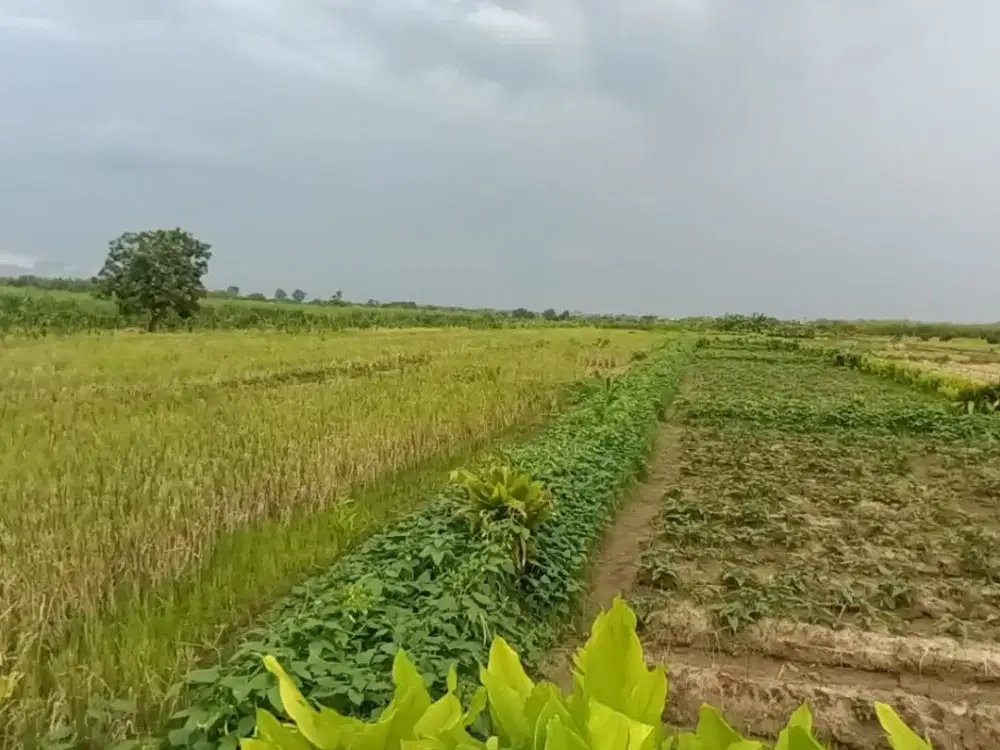 Dijual Lahan Strategis Menganti