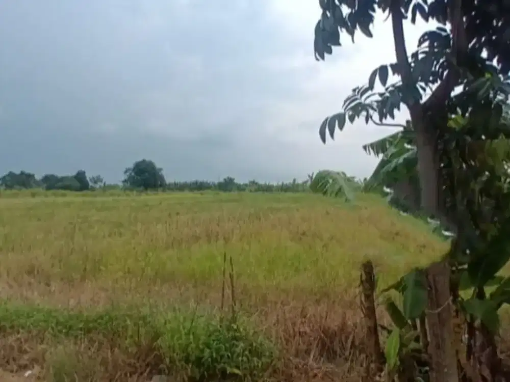 Dijual Lahan Menganti Pasar