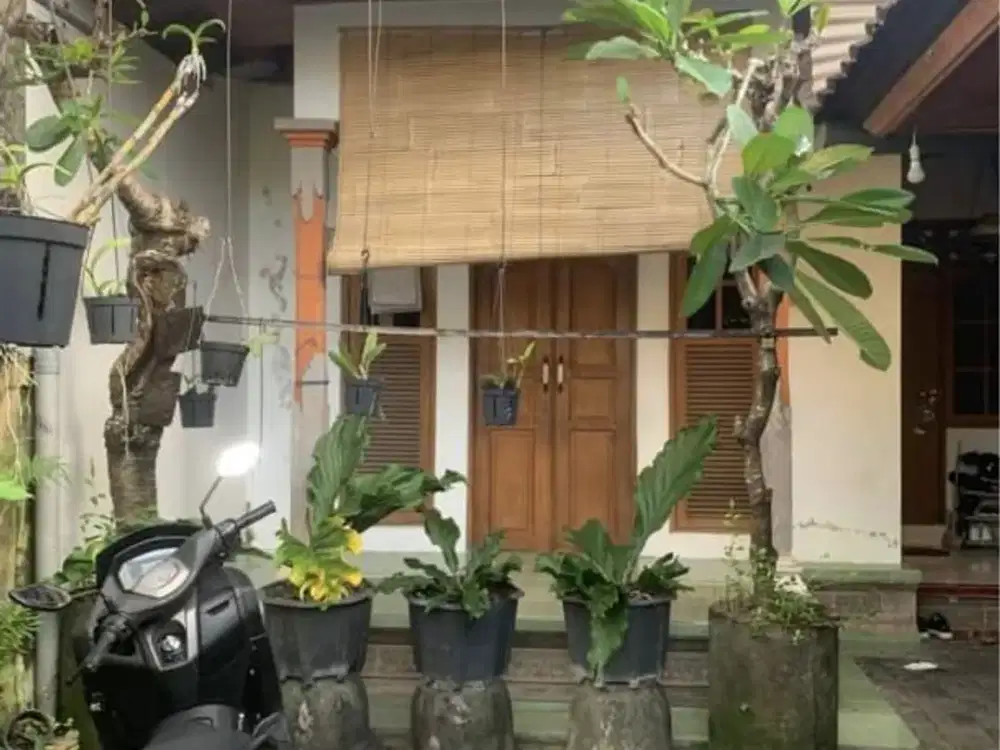 JUAL RUMAH BONUS KOS SESETAN