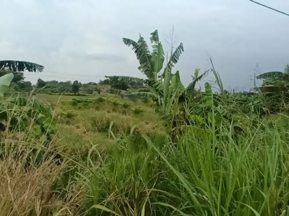 Dijual Lahan Menganti Gresik