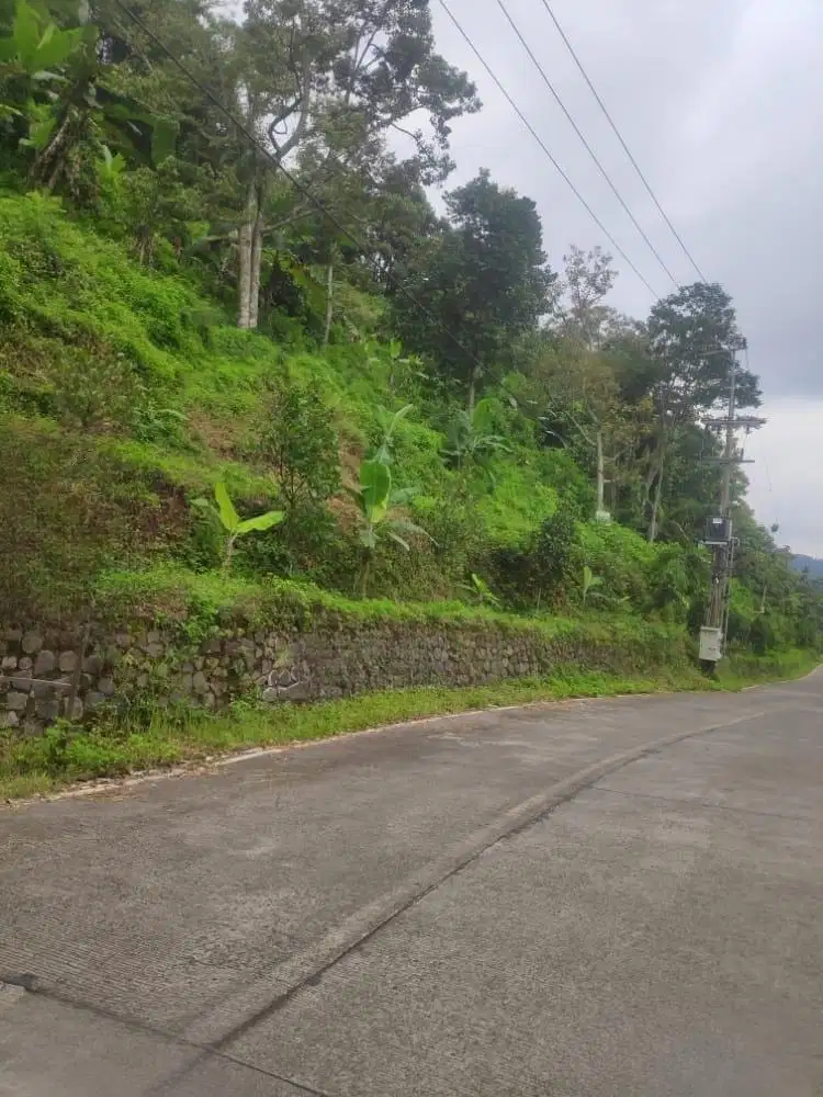 DIJUAL MURAH POL TANAH SUPER LUAS DAN STRATEGIS DI TRAWAS MOJOKERTO!