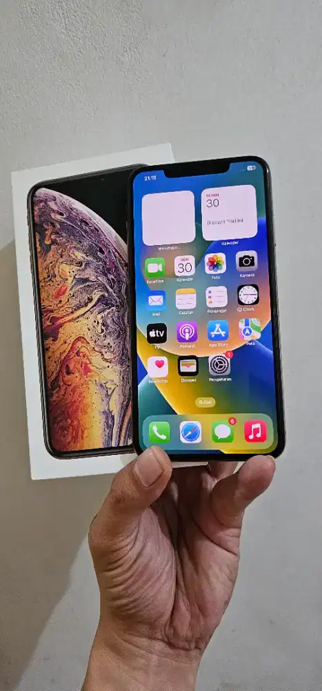 Iphone Xs Max 256gb Dual Sim All Operator Box Asli