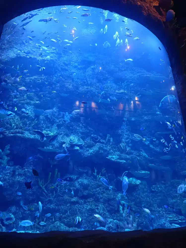 Pengasuh anak 6 tahun (PULANG PERGI)