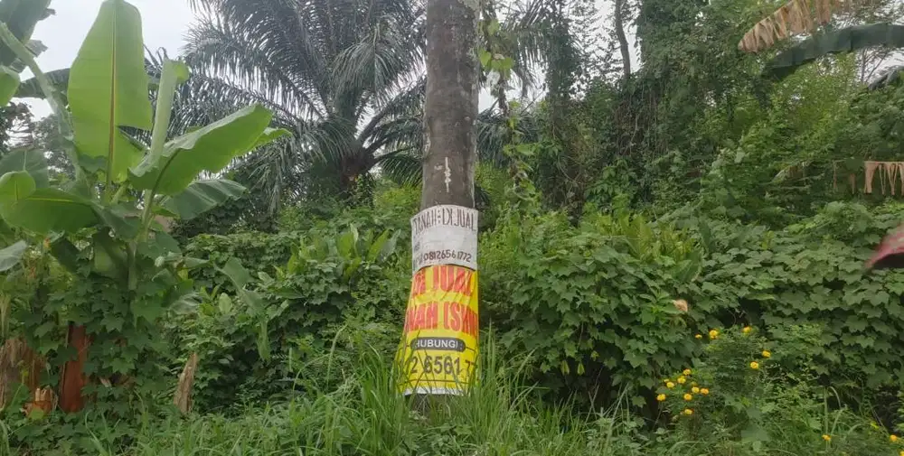 Dijual Sebidang Tanah