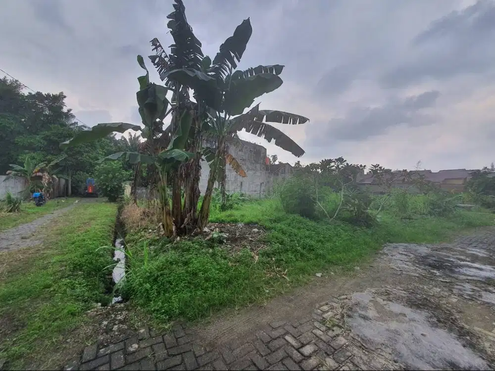 Dijual Sebidang Tanah