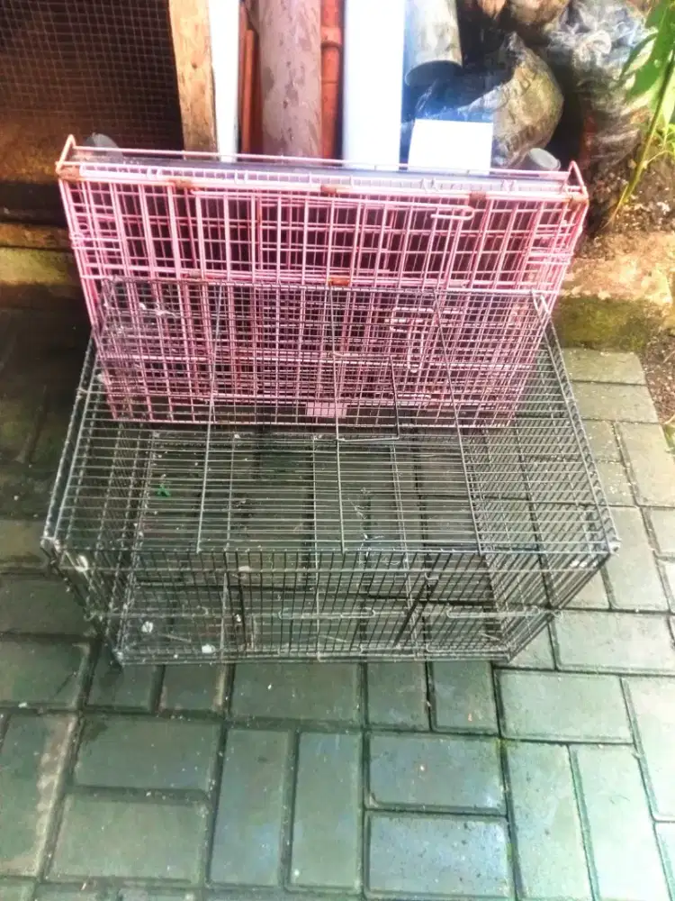 Kandang kucing 2 pc hrg murah