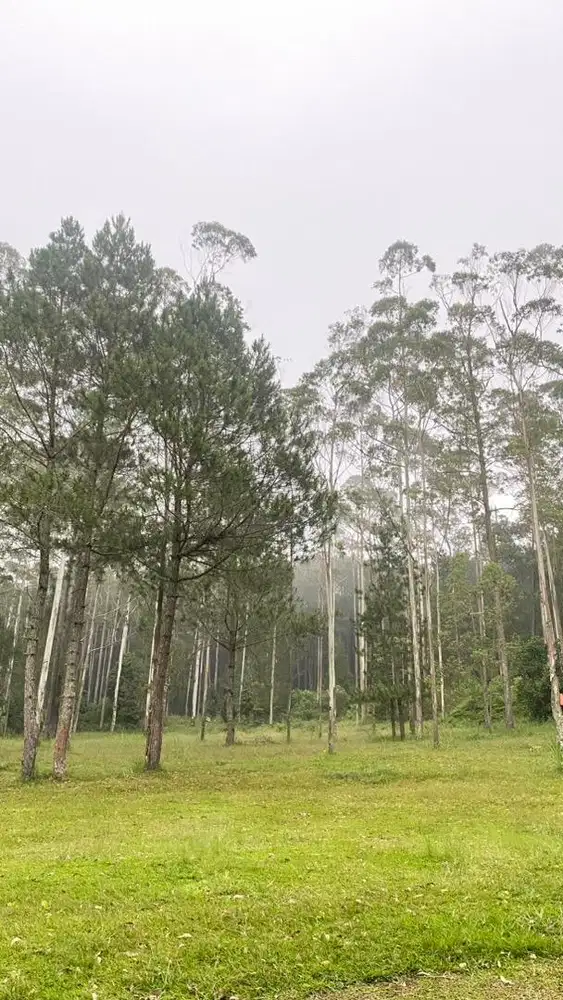 Lowongan ART urus Balita 3tahun