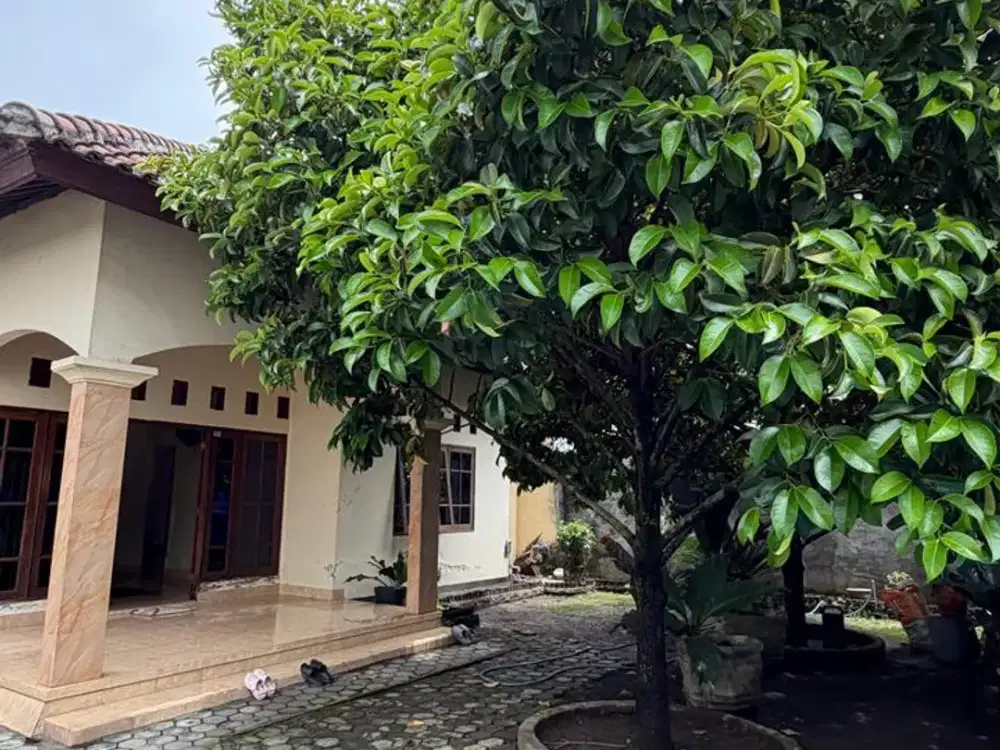 Rumah Nyaman di Mataram – Ada Halaman Besar, Pohon Manggis & Kolam Anak - SS