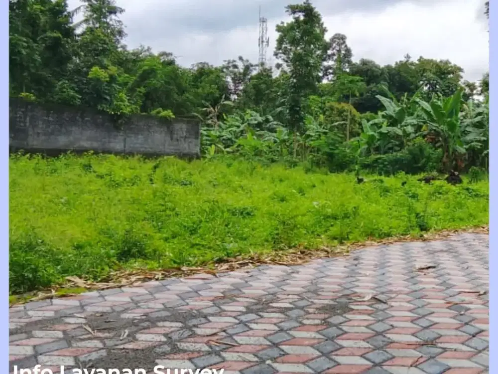 Tanah Jogja 4 Menit Kampus UII Siap Ajb Notaris SHM Pekarangan