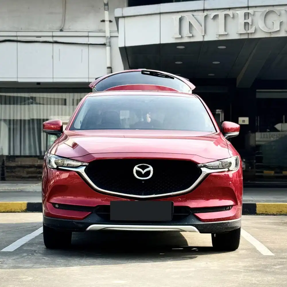 ‼️DP 25 JT‼️FAVOURITE COLOUR‼️