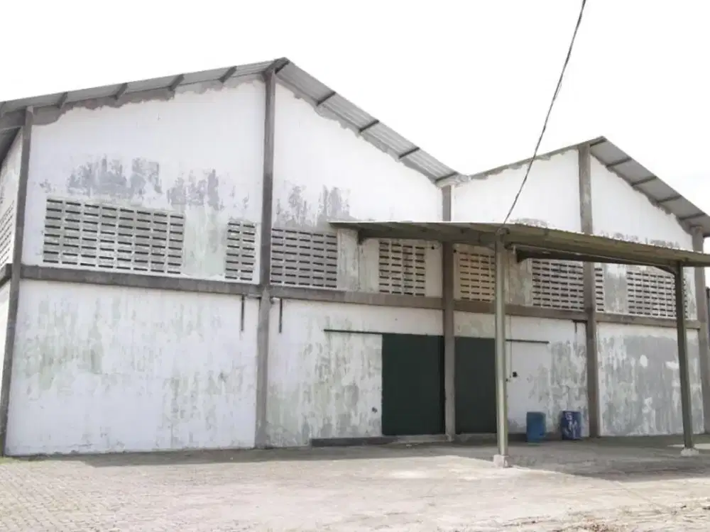 Feic. Gudang Dijual di Kawasan Newton Techno Park