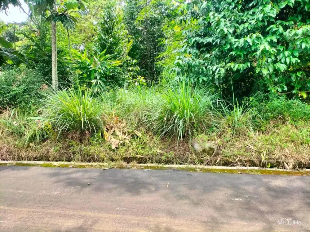 Dijual Tanah Pekarangan di Sendangrejo Minggir Sleman