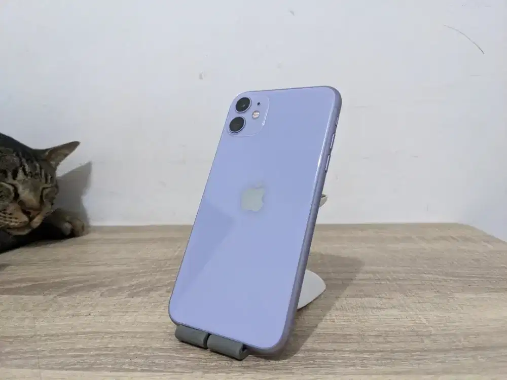 Jual iPhone 11 64Gb Purple COD Malang Kota