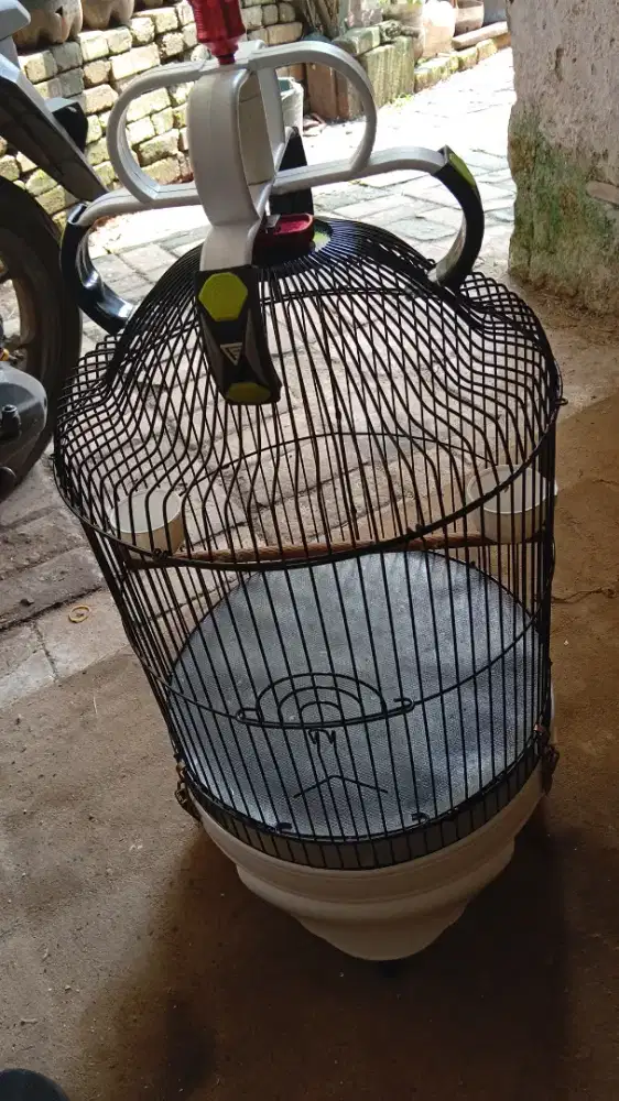 Kandang lakbet kubah