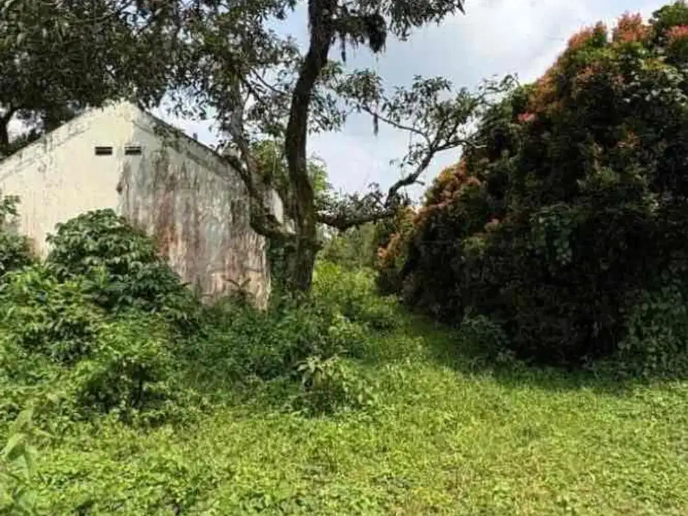 dijual tanah murah harga dibawah pasaran di jalan jampang karikhil, kel. tegal, kec. kemang, kab. bogor