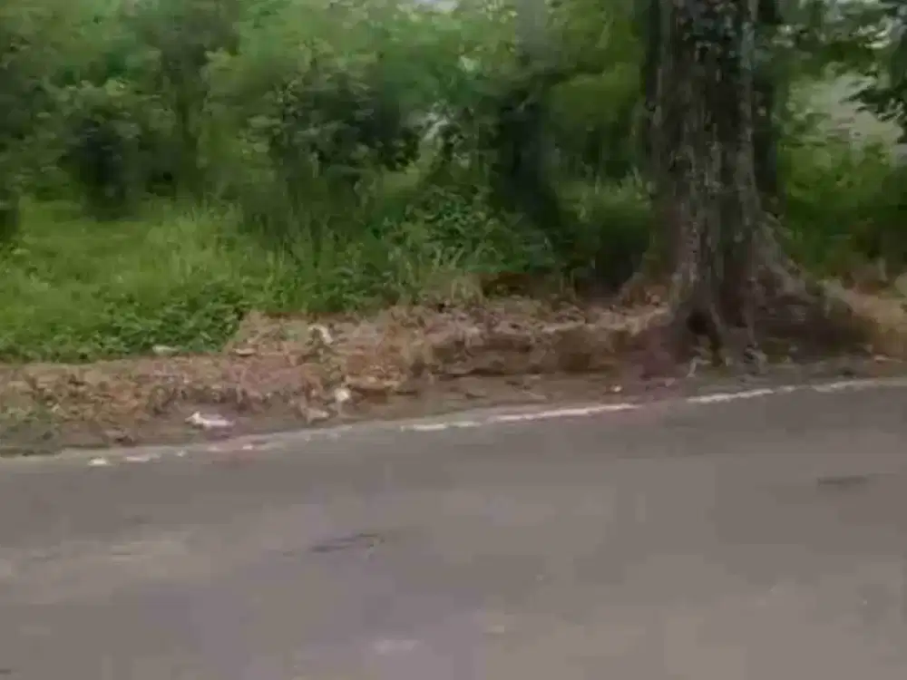 DIJUAL Tanah Pekarangan Jalan GTA  Pandowoharjo Sleman