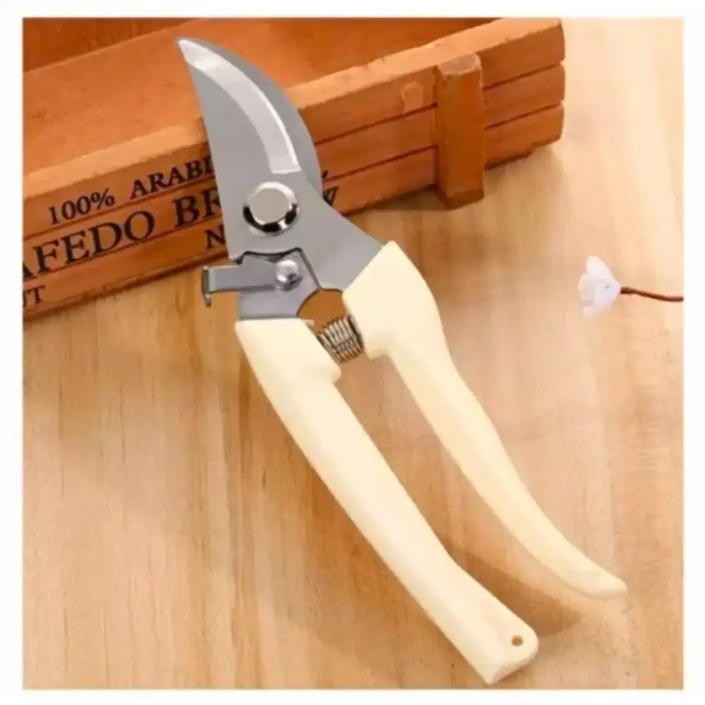 Gunting dahan dan ranting