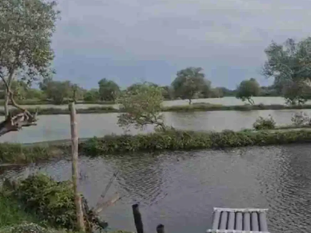 Tambak Produktif Sawohan Buduran Sidoarjo