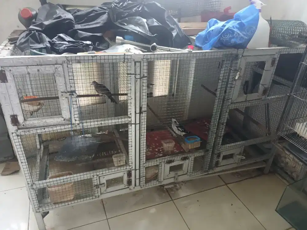 Kandang 2 m x ĺbr 60 tinggi 1m 25 cm