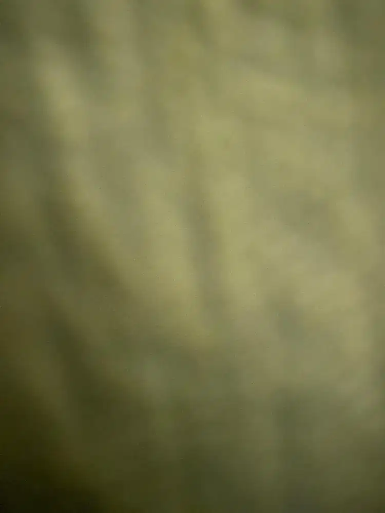 Pembantu rumah tangga