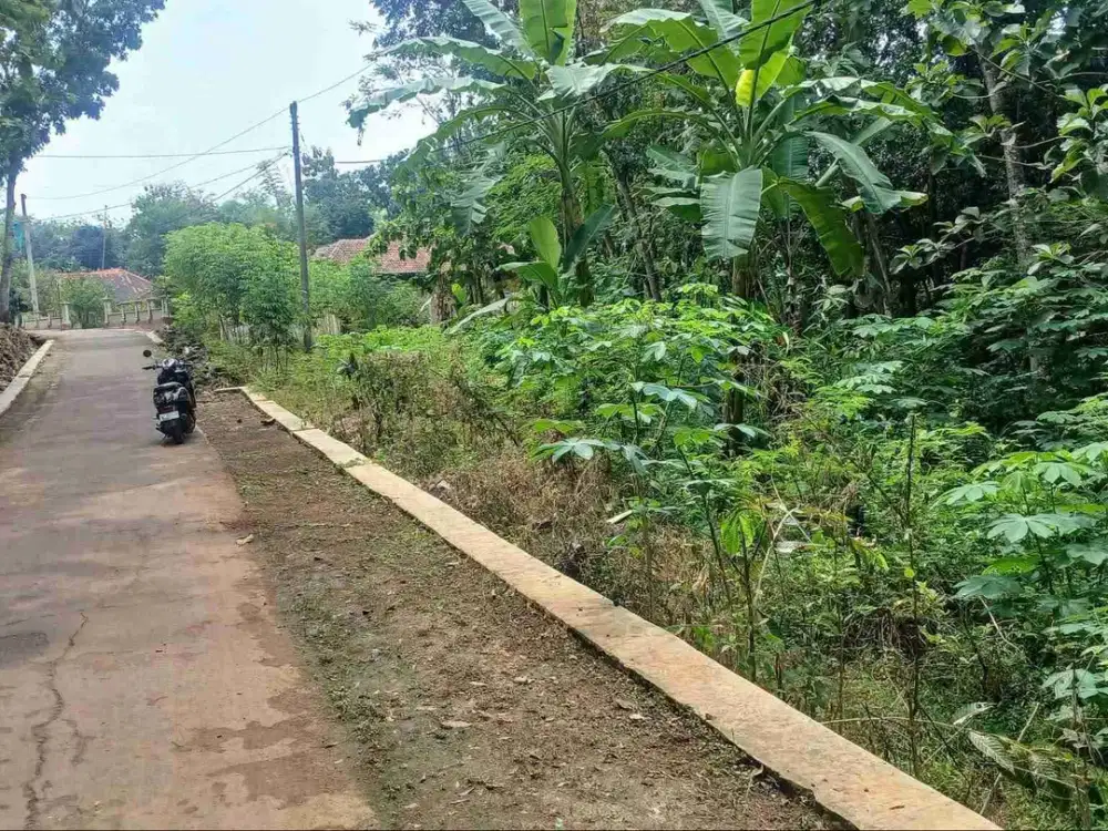 Tanah Murah mojogedang di area perkampungan