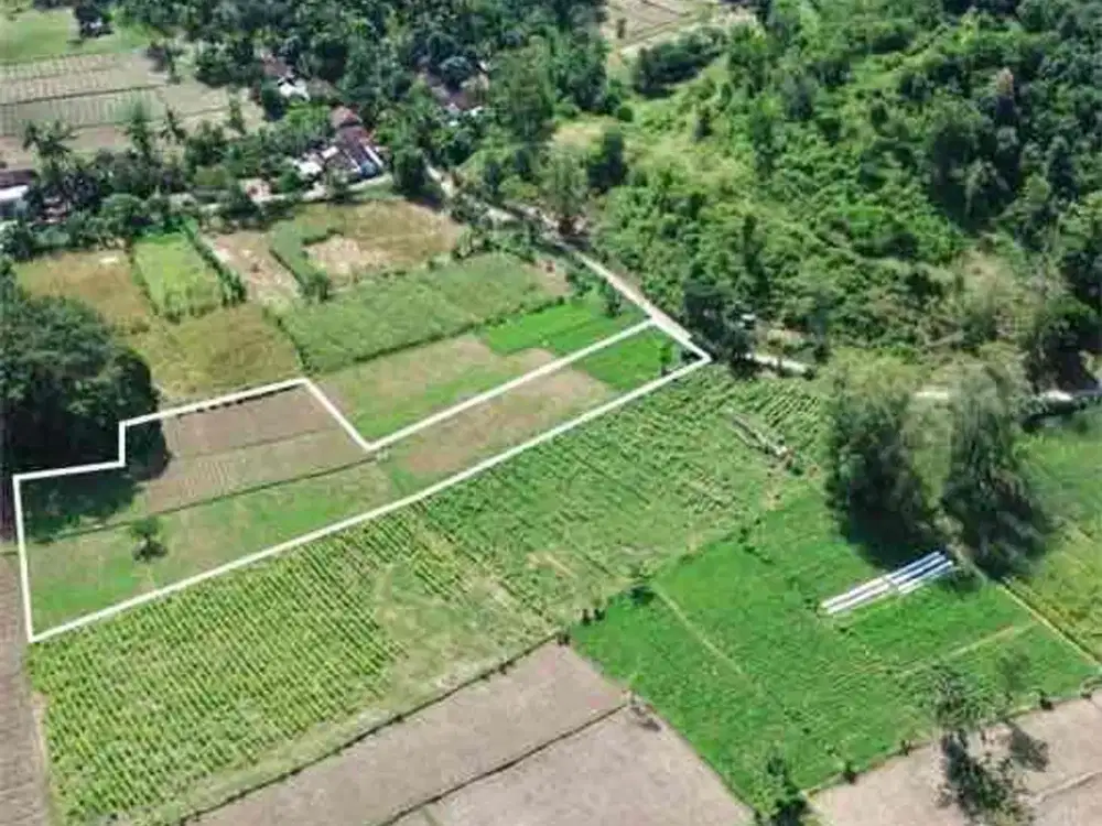 Tanah SHM Murah & Strategis di Selong Belanak Lombok – Cocok Villa & Investasi