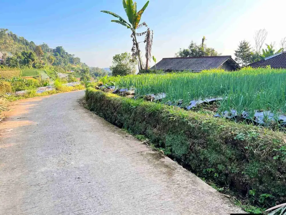 Tanah Cantik kemuning ngargoyoso karanganyar