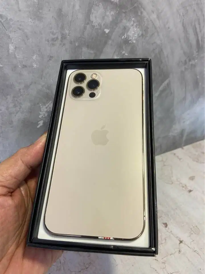 12 PRO 256gb GOLD IBOX Welljoss