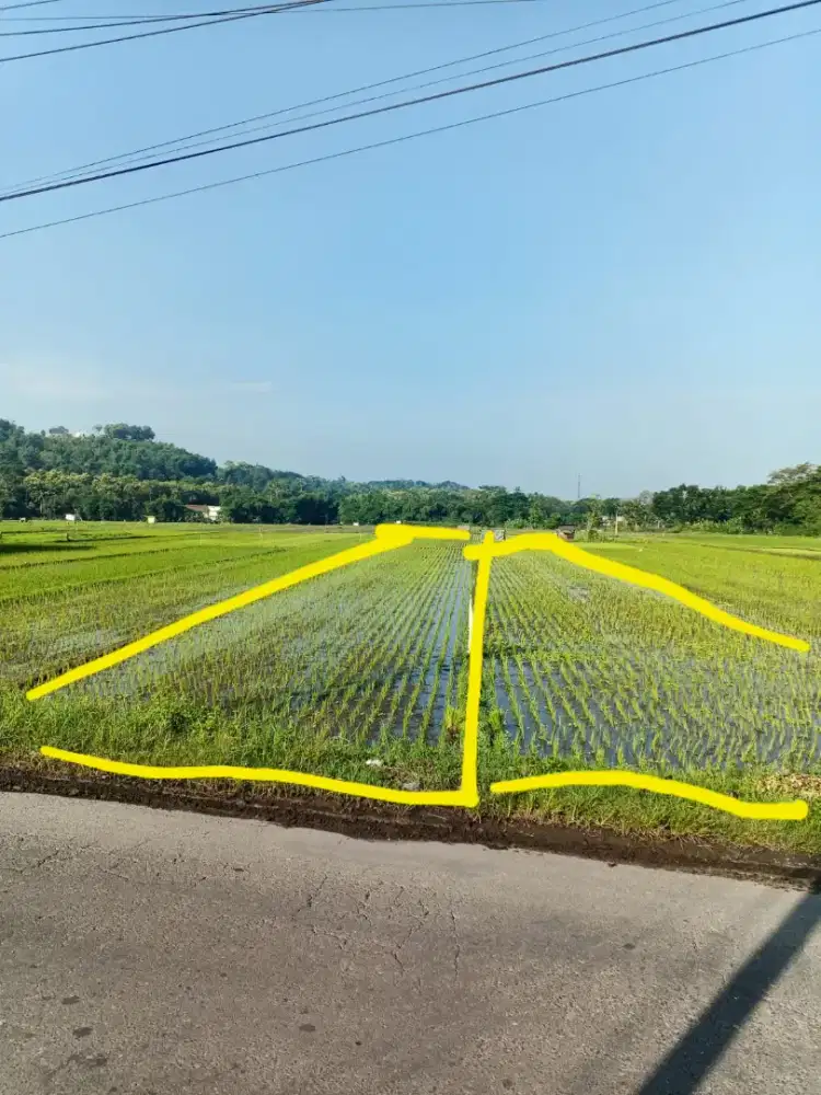 Dijual 2 SAWAH 2 SHM lebar depan 16m langsung pemilik