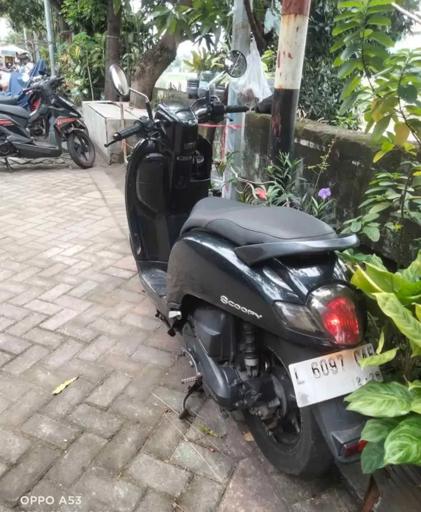 Honda Scoopy 2018