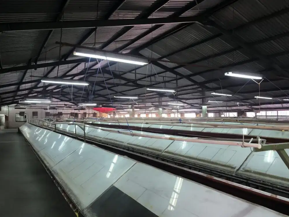 Gudang Pabrik Besar Strategis Kawasan Industri di Kopo Cirangrang Bandung