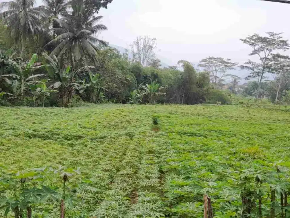 Tanah Subur dan Strategis Pinggir Jalan