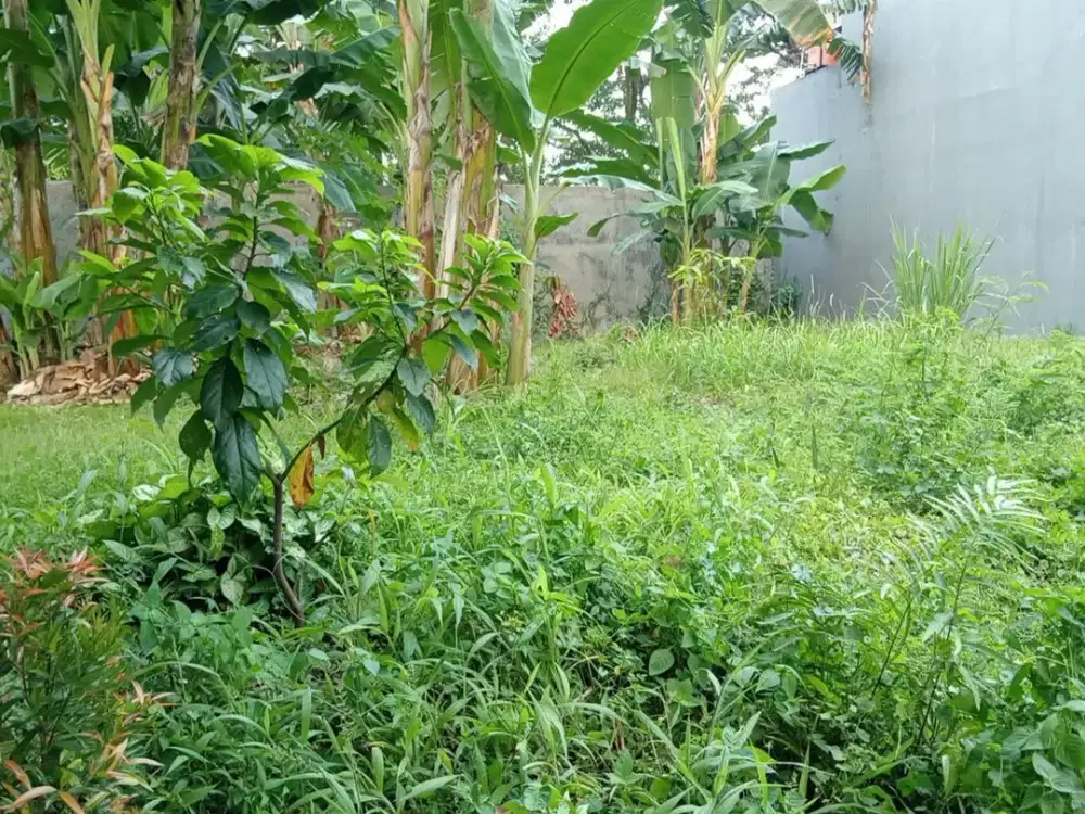 Dijual Cepat Kavling Strategis dalam cluster The Address