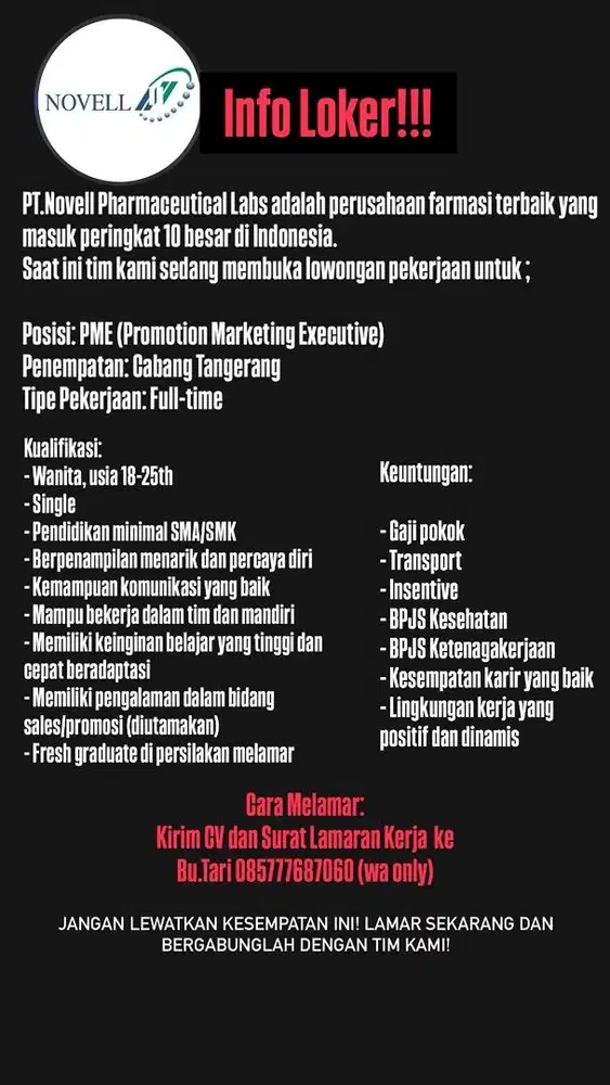 Promotion Marketing Executive