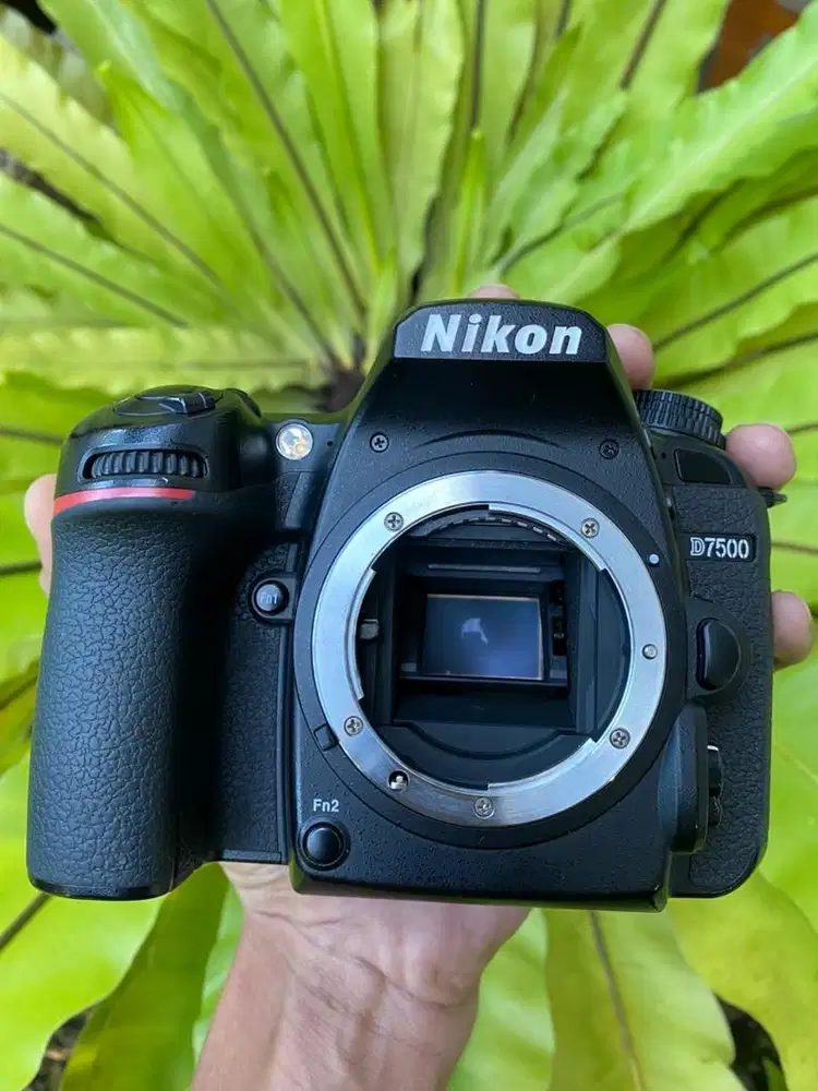Nikon D7500 body mulus