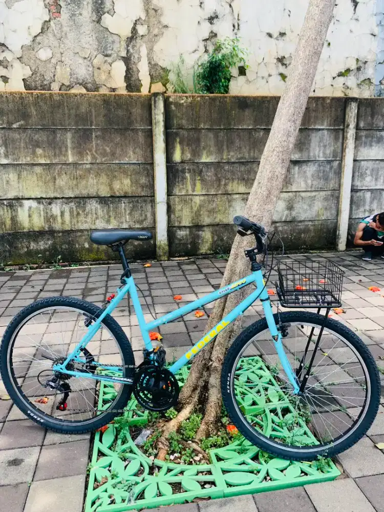 Sepeda Federal Lady Wildcat ss