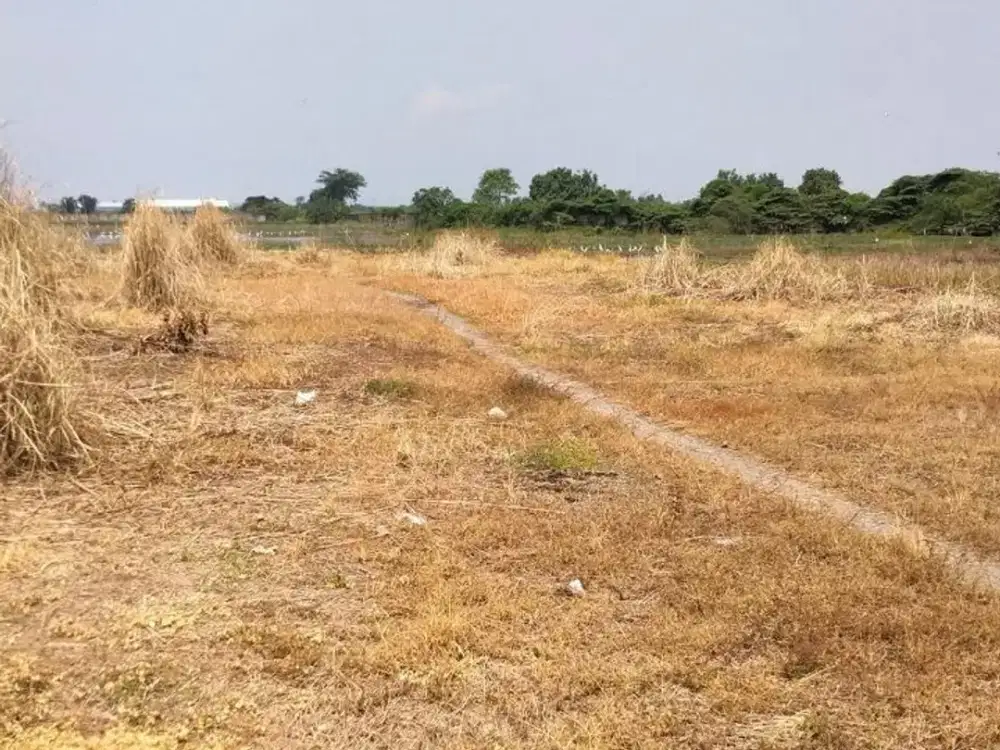 Disewakan Tanah Lingkar Timur